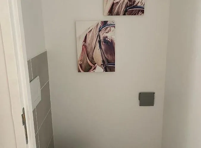 Opale Plein Sud Apartamento Sarlat-la-Canéda